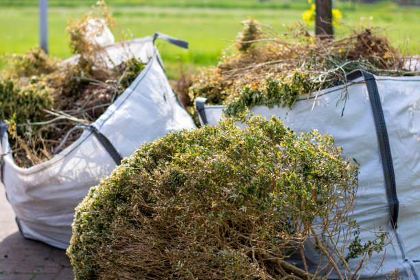 Professional Junk Removal in Laupahoehoe, HI